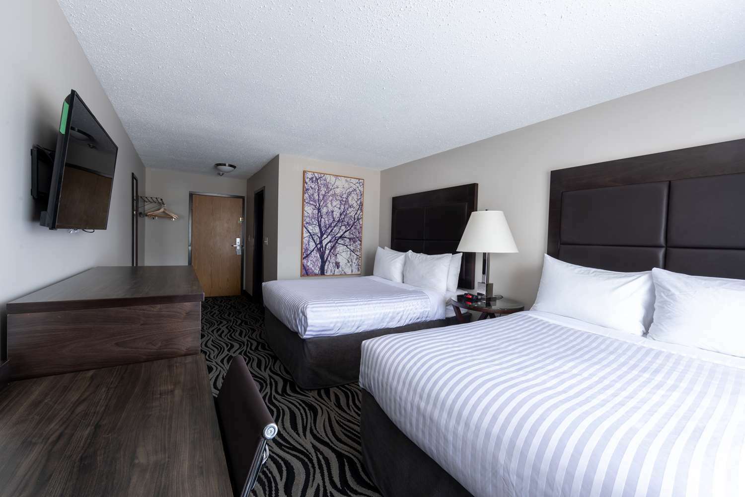 Surestay Hotel By Best Western Каслгар Номер фото